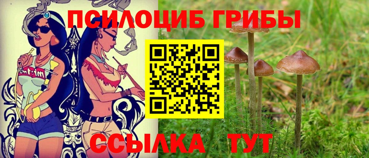 Галлюциногенные грибы Magic Shrooms Владимир