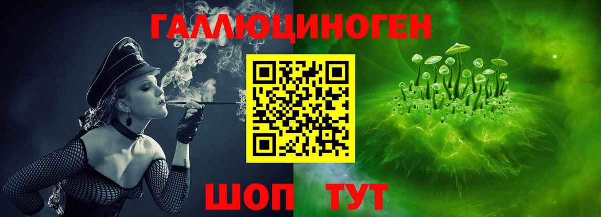 Владимир  где можно купить наркотик  Вход с VPN  Псилоцибиновые грибы мицелий 